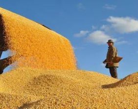 顆粒歸倉(cāng)的背后，有潔能保的強(qiáng)力護(hù)航