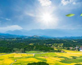 天厚潔能保柴油凈化器：鄉(xiāng)村振興路上的綠色護(hù)航者